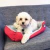 Hundekorb / Katzenkorb 55 - 80 cm weitere Farben