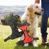 Hundegeschirr rot oder schwarz in 5 Größen